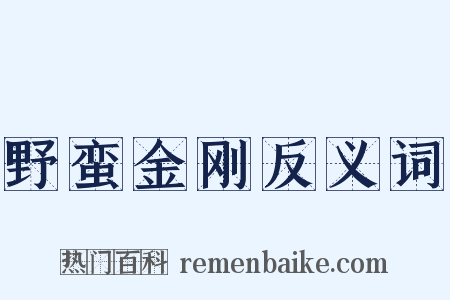 野蛮金刚反义词是什么意思的图片